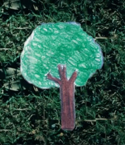 Preserve todos os dias o meio ambiente
